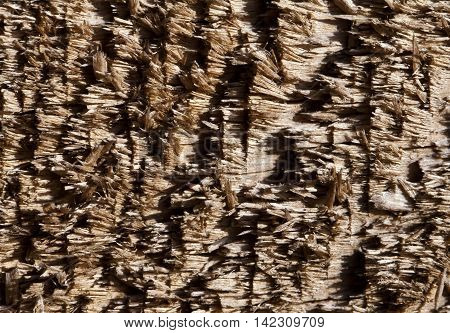 Old chipped wood, macro shot, for texture or background