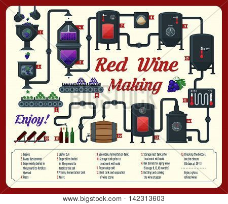Wine making. how wine is made wine elements infographic