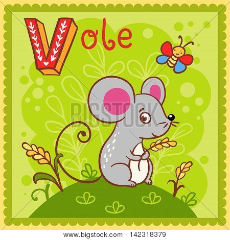 Illustrated alphabet letter V and vole. Vector picture with cartoon animals.