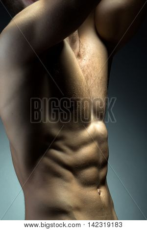 Sexy muscular male torso of athlete bodybuilder posing in power with veins on hands and bare chest on grey background