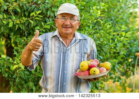 A smiling elderly man in a shirt is holding a tray with fruit. He is holding his right hand with his thumb up. He means the harvest is great. The green trees are in the background