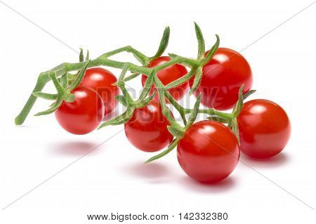 Currant Sweet Pea Tomatoes, Paths