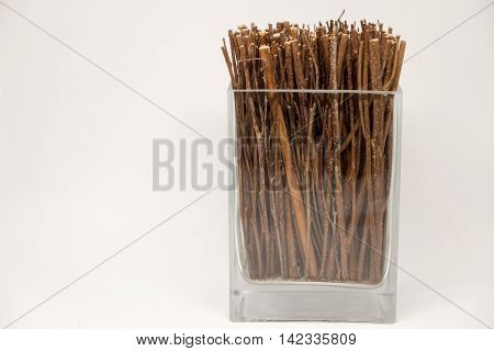 Dried twigs fre decoration in the glass bottle.