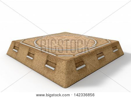 Sumo Wrestling Ring