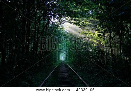 Sunny ray of light in the green train tunnel in the forest created by thickets of shrubs and trees.