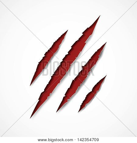 Claw scratches on gray background. Vector illustration.