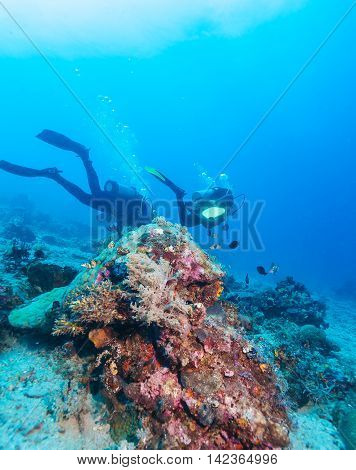 Group of divers going deep and reef Bali