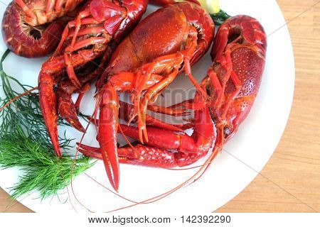 Boiled crayfish color red with dill lie on a round white plate on a wooden table surface. Top view close-up
