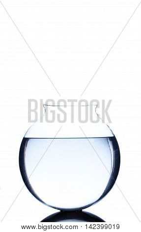 Empty fsh bowl with blue water isolated on white