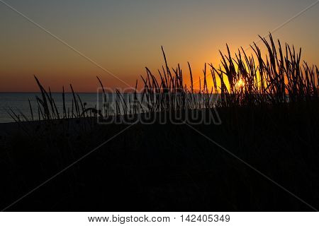 Sea and grass silhouettes in the evening sunset Ukraine, steppe region, Kinburn spit