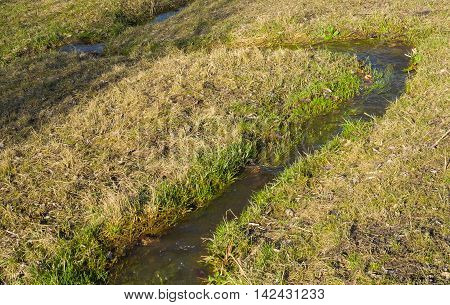 Small stream at spring season as start of the life on a water-meadow