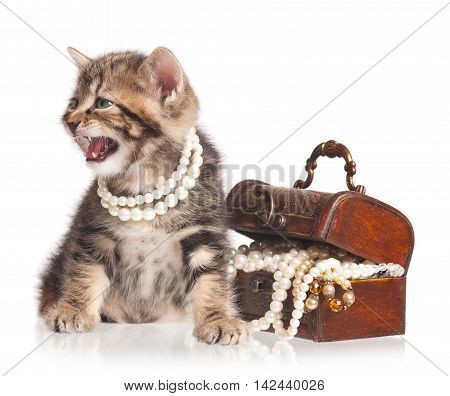 Cute little kitten protects a wooden chest with pearls isolated on white background
