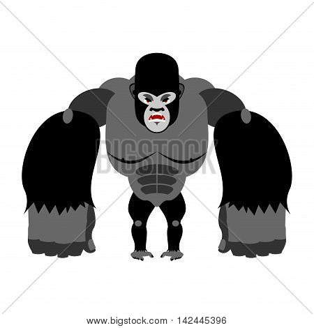 Angry Gorilla On Its Hind Legs. Aggressive Monkey On White Background. Wild Wrathful Animal. Large F