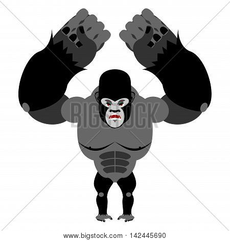 Angry Gorilla On Its Hind Legs. Aggressive Monkey On White Background. Wild Wrathful Animal. Large F