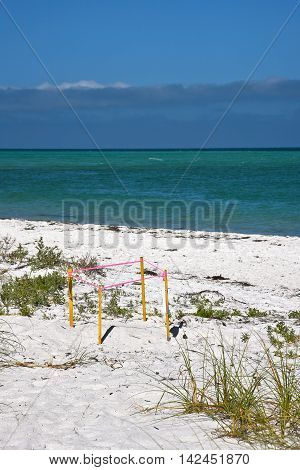 Protected turtle nest on the beach of Anna Maria Island Florida