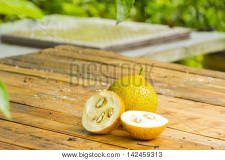 Green baby jackfruit and green baby jackfruit slice on wooden background.Fruit for health and stillife.