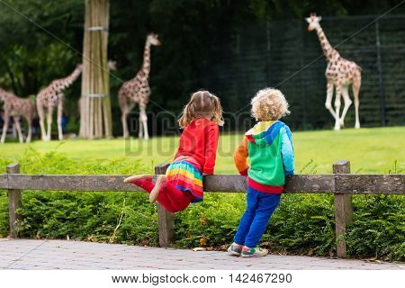 Two children little toddler boy and preschool girl brother and sister watching giraffe animals at the zoo on sunny summer day. Wildlife experience for kids at animal safari park.