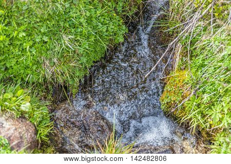 Mountain Stream In A Meadow