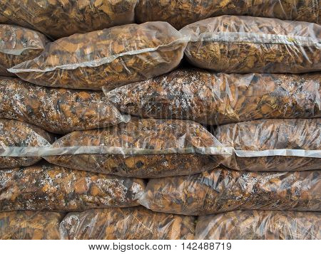 Coconut spathe chopped put in the bag for sell