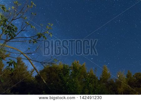 Milky Way Over The Forest At The Troodos Mountains
