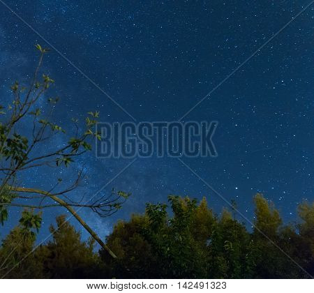 Milky Way Over The Forest At The Troodos Mountains