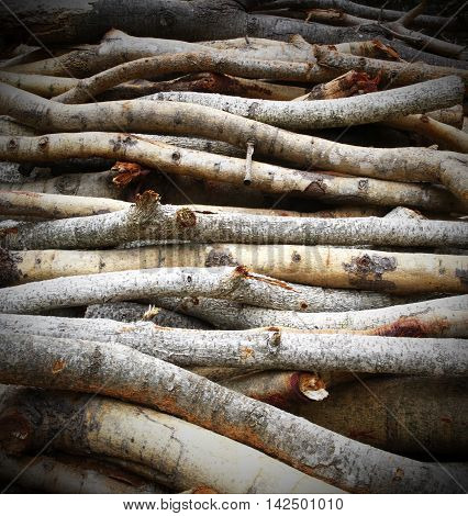 Timber prepared for the building. Timber Texture.