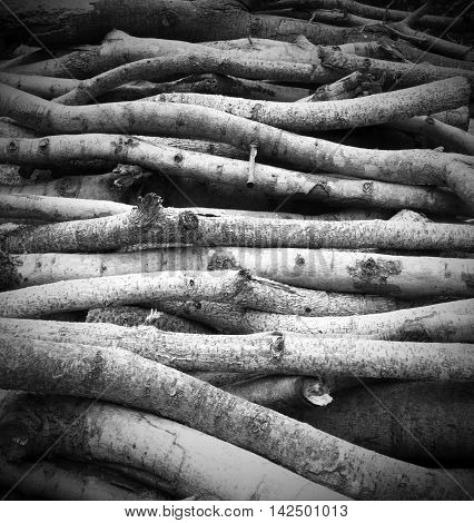 Timber prepared for building. Timber Texture.(Black and White)