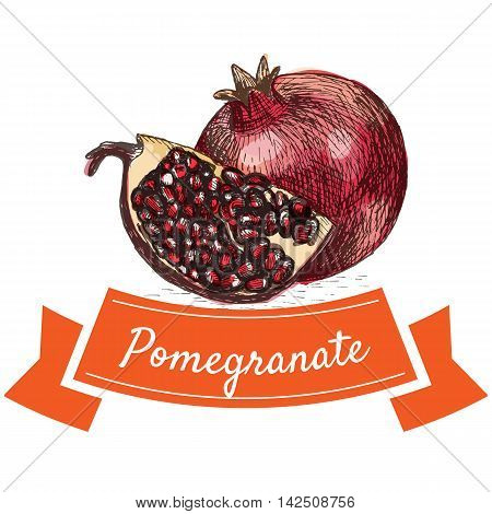 Vector illustration colorful set with pomegranate. Illustration of fruits