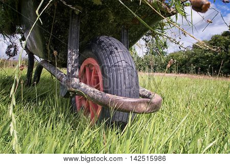 Garden Wheel Barrow On Long Grass