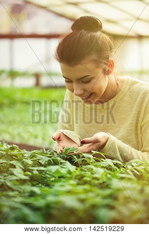 Farmer Girl Holding Green Seedlings In Sunny Greenhouse