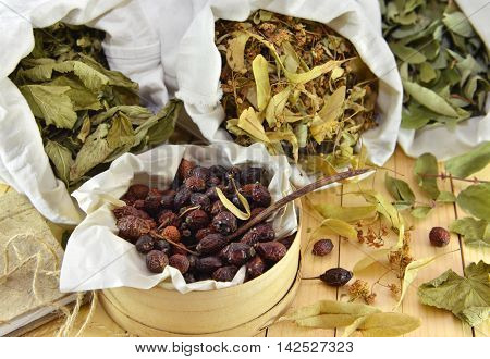 Homeopathic medicine still life with healing herbs and flowers of black currant, linden, honeysuckle and dry sweetbrier berries on wooden background. Healthcare theme