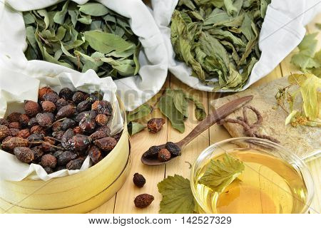 Herbal medicine close up with dry healing herbs of mint and honeysuckle, sweetbrier berries, glass cup of tea and spoon. Homeopathic and healthcare still life