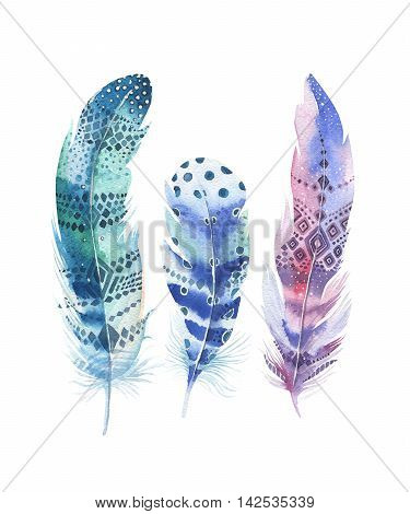 Hand drawn watercolor paintings vibrant feather set. Boho style wings. illustration isolated on white. Bird fly design for T-shirt invitation wedding card.Rustic Bright colors.