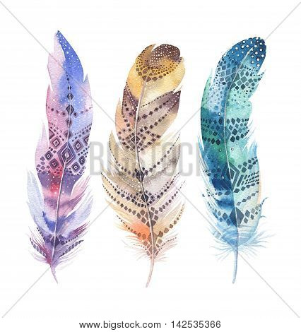 Hand drawn watercolor paintings vibrant feather set. Boho style wings. illustration isolated on white. Bird fly design for T-shirt invitation wedding card.Rustic Bright colors.