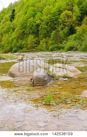 Beautiful mountain river magnificent landscape. Beauty of nature.