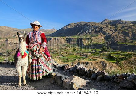 Colca Canyon, Peru-january 16: Unidentified Woman In Traditional Dress Stands With Llama On January