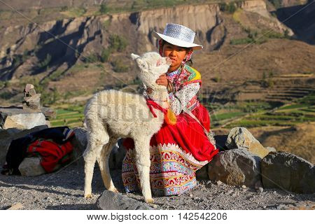 Colca Canyon, Peru-january 16: Unidentified Girl In Traditional Dress Sits With Llama On January 16,