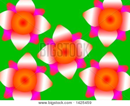 Flower.Pdf