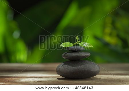 close up view of gray stones and leaf on color back.