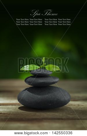 close up view of gray stones and leaf on color back. Banner, extra space for your text.