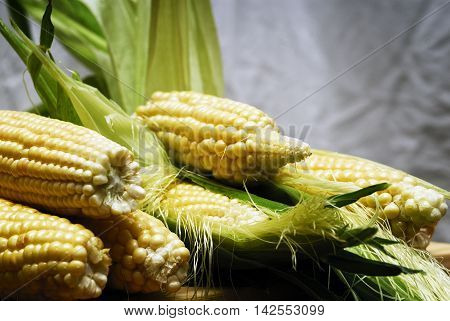 Wery swetty corn. The sweety food. Summer.