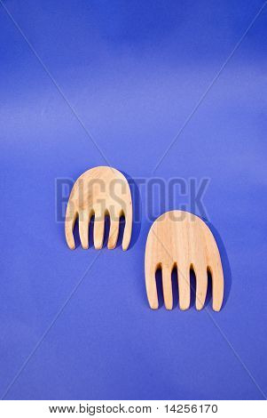 두 나무 발
