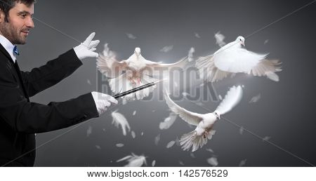 magician performs the trick with white a pigeon