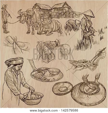 Agriculture - Life of a farmer. RICE crop. Collection of an hand drawn vector illustrations. Set of freehand sketches.
