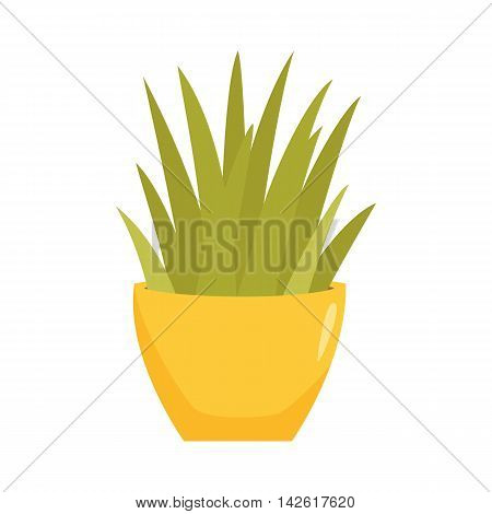 Sansevieriya in pot. Interior home and office potted plant. Houseplant cartoon vector illistration. Interior decoration. Flowerpot drowth and gardening.