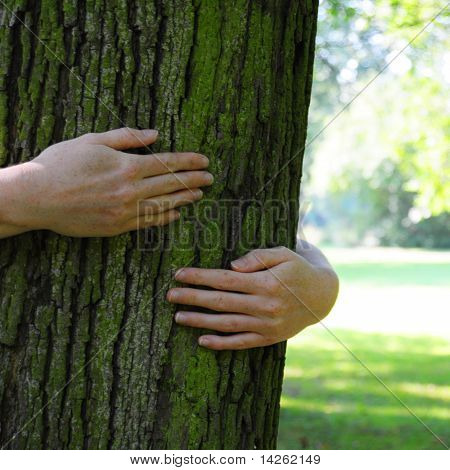 Ecologia