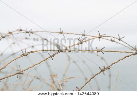 Detail of a barbed World War II France