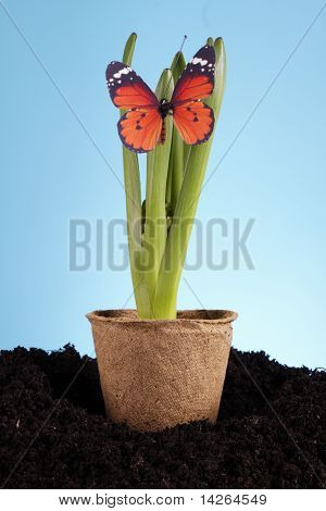 Concept de jardinage