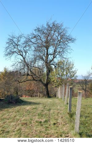 ส่วนที่เหลือ