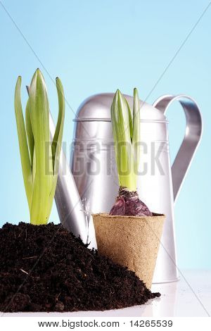 Concept de jardinage